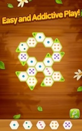 Number Puzzle Hexa（六角数字拼图）