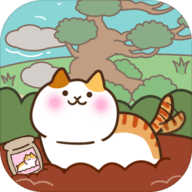 Field of Cats（猫咪田园）