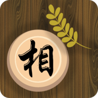 天天象棋大师