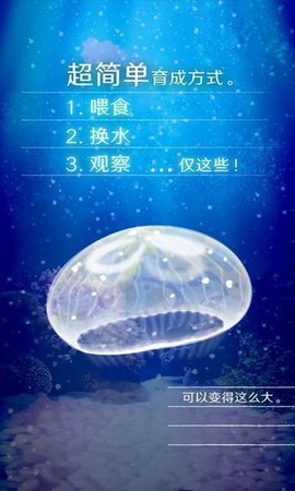 Jellyfish（养育水母的治愈游戏）