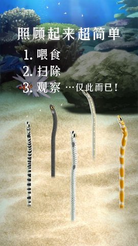 Garden Eel（养育花园鳗的治愈游戏）