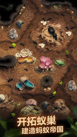The Ants（小小蚁国）