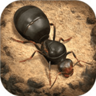 The Ants（小小蚁国）