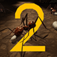 MY ANT COLONY 2（我的蚁群2）