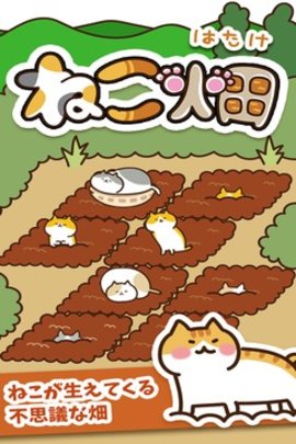 Field of Cats（猫咪田园）