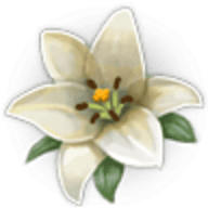 Flowers Can Talk（花园物语）