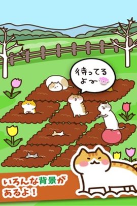 Field of Cats（猫咪田园）