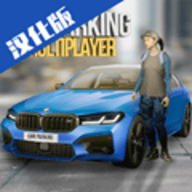 CarParking（多人停车）