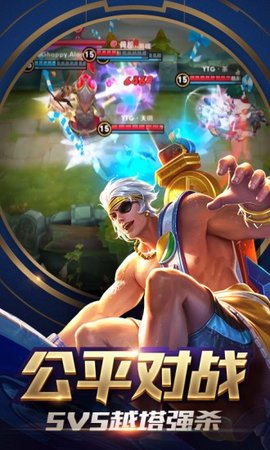 Arena of Valor安装器