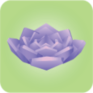 Viridi（电子盆栽 ）