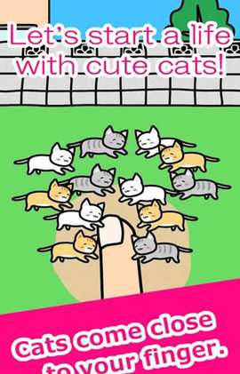 Play with Cats（手指猫咪 ）