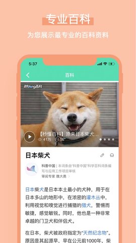 WikiPic（百科识图）