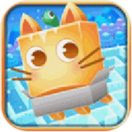 盒子猫-迷宫冒险