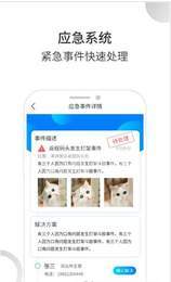 墨鱼办公