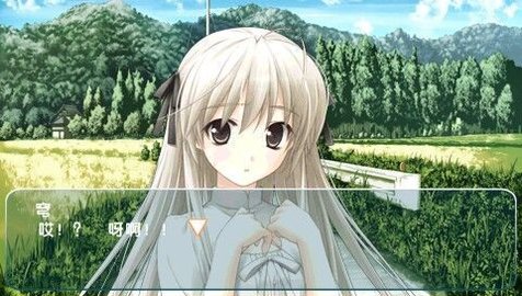 缘之空安卓版