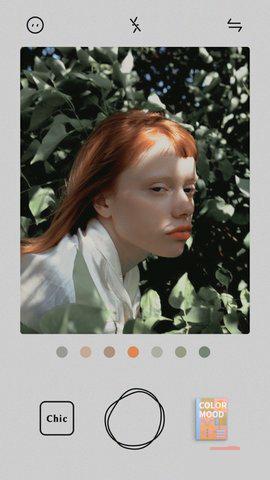 Chic Camapp