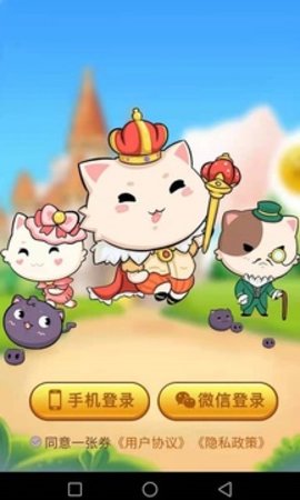 一张券
