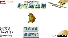 狗子的生活