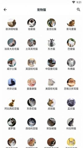 Animals Plants Treasury（动植物大全）
