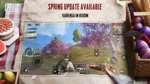 betapubgmobilelite国际服
