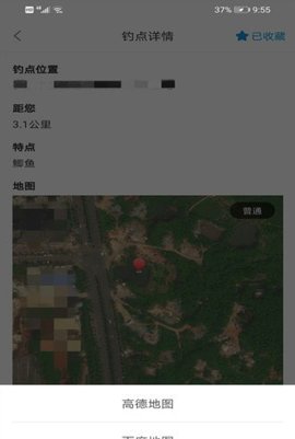 野钓点钓鱼