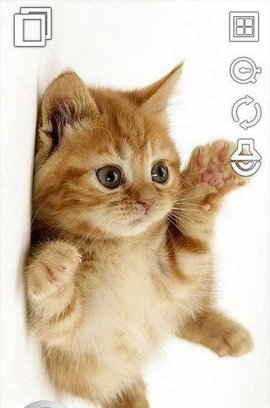 Samsung Smart Camera App手机版