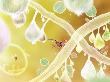 Botanicula