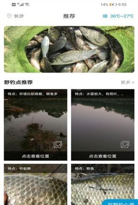 野钓点钓鱼