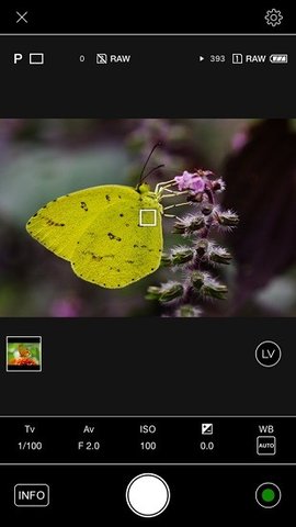 Image Sync