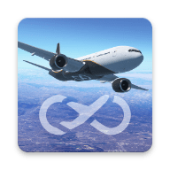 Infinite Flight