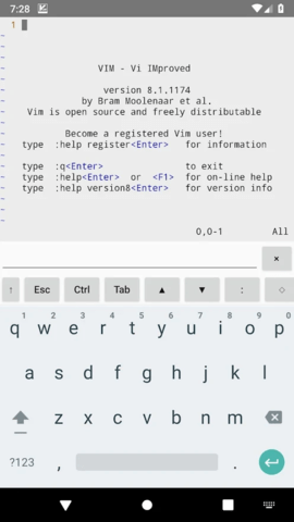 vim