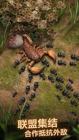 The  Ants (小小蚁国)