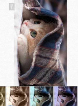 Samsung Smart Camera App手机版