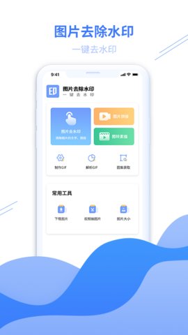图片去水印专家