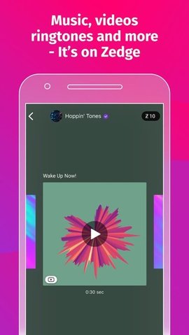 Zedgev7.31