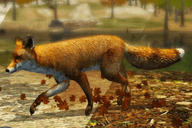 UltFox2