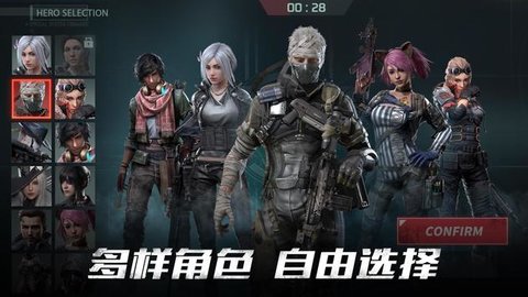 混乱之序（亚服）安装器