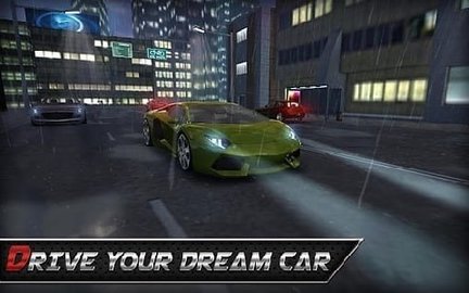 Real Driving 3D（3d真实驾驶模拟）