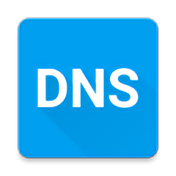 DNSManager