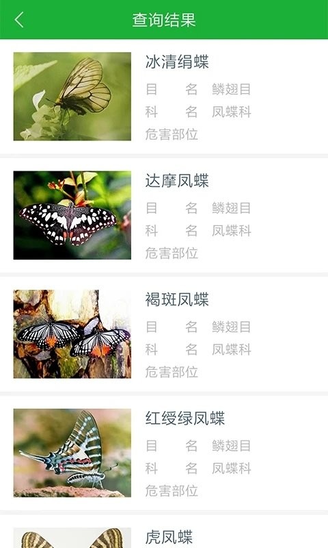 虫警