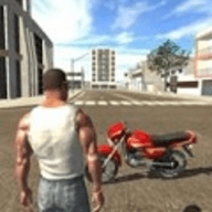 印度自行车驾驶3D（Indian Bikes Driving 3D）