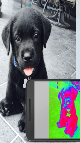Thermal Camera（热成像仪）