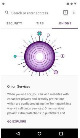 Tor浏览器（Tor Browser）