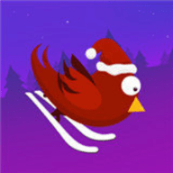 雪鸟（Snow Birds）