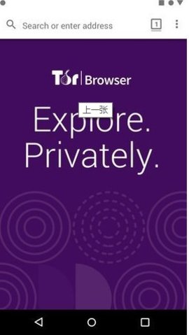 Tor浏览器（Tor Browser）