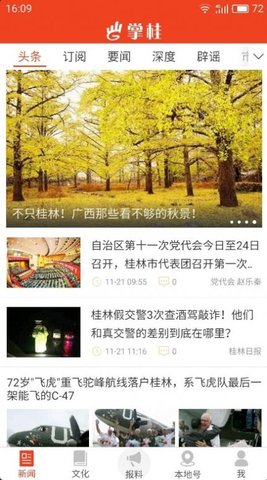 掌桂