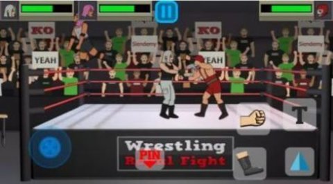 摔跤皇室格斗（Wrestling Royal Fight）