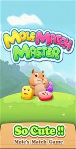 鼹鼠匹配大师（Mole Match Master）