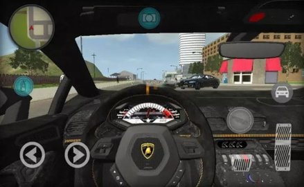 大城市汽车小偷（Grand City Car Thief）