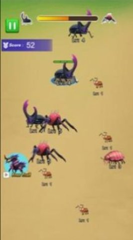 Merge insects evolution